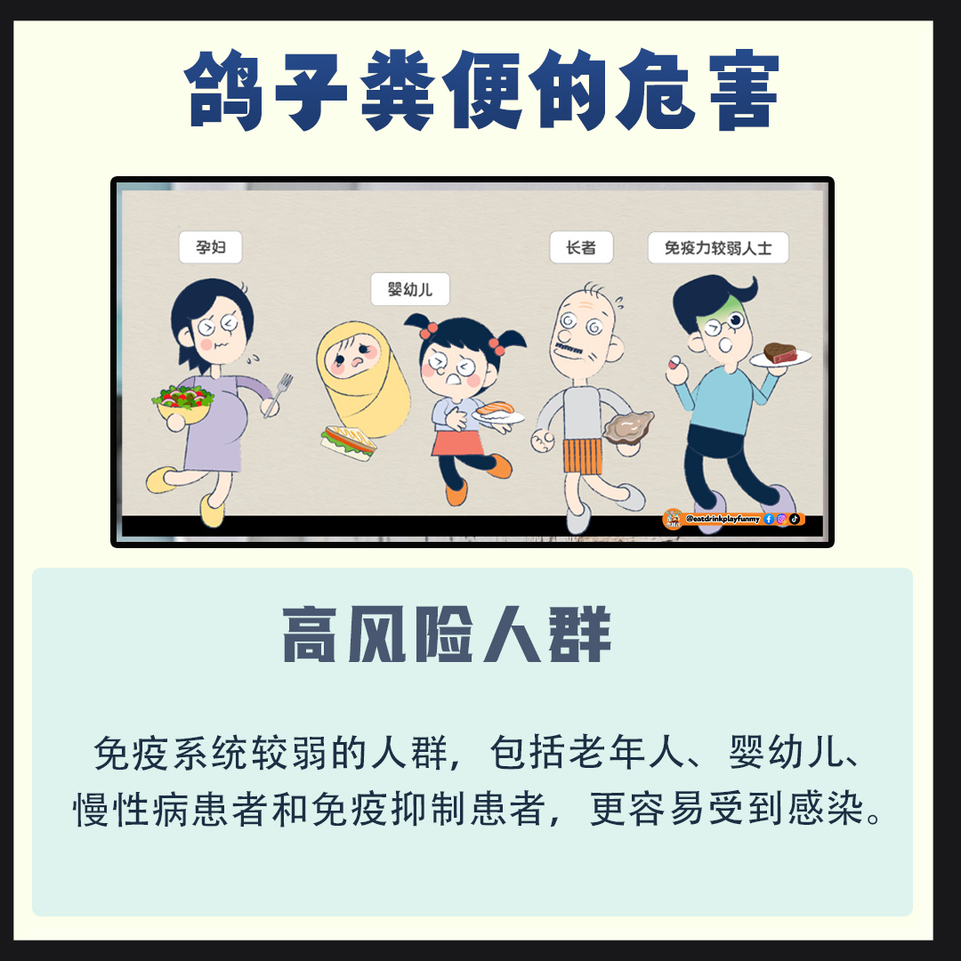 大马吃喝玩乐 - 鸽子会带来疾病 鸽子粪便的危害