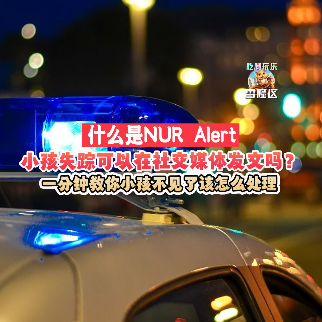 大马吃喝玩乐 - NUR Alert 失踪