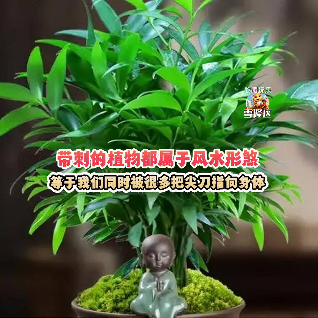 大马吃喝玩乐 - 植物