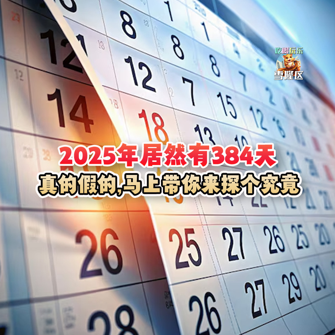 大马吃喝玩乐 - 2025年居然有384天