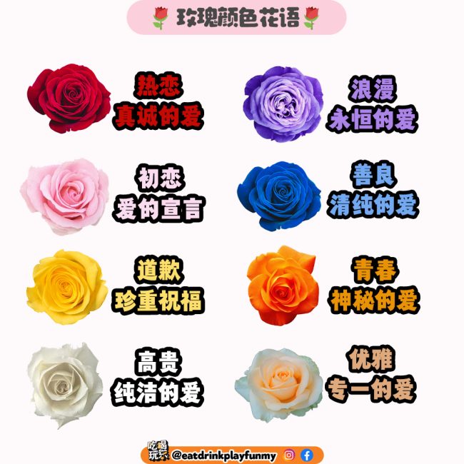 1 - roses copy